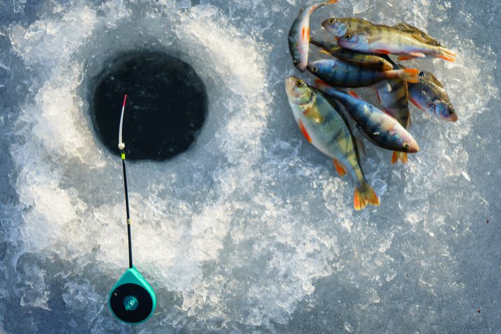 Ice fishing live casino - The Rise of Ice Fishing Games in the UK Gambling Scene