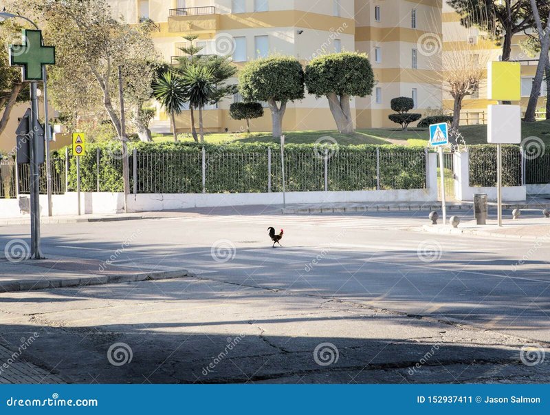 Chicken road casino in Spain
