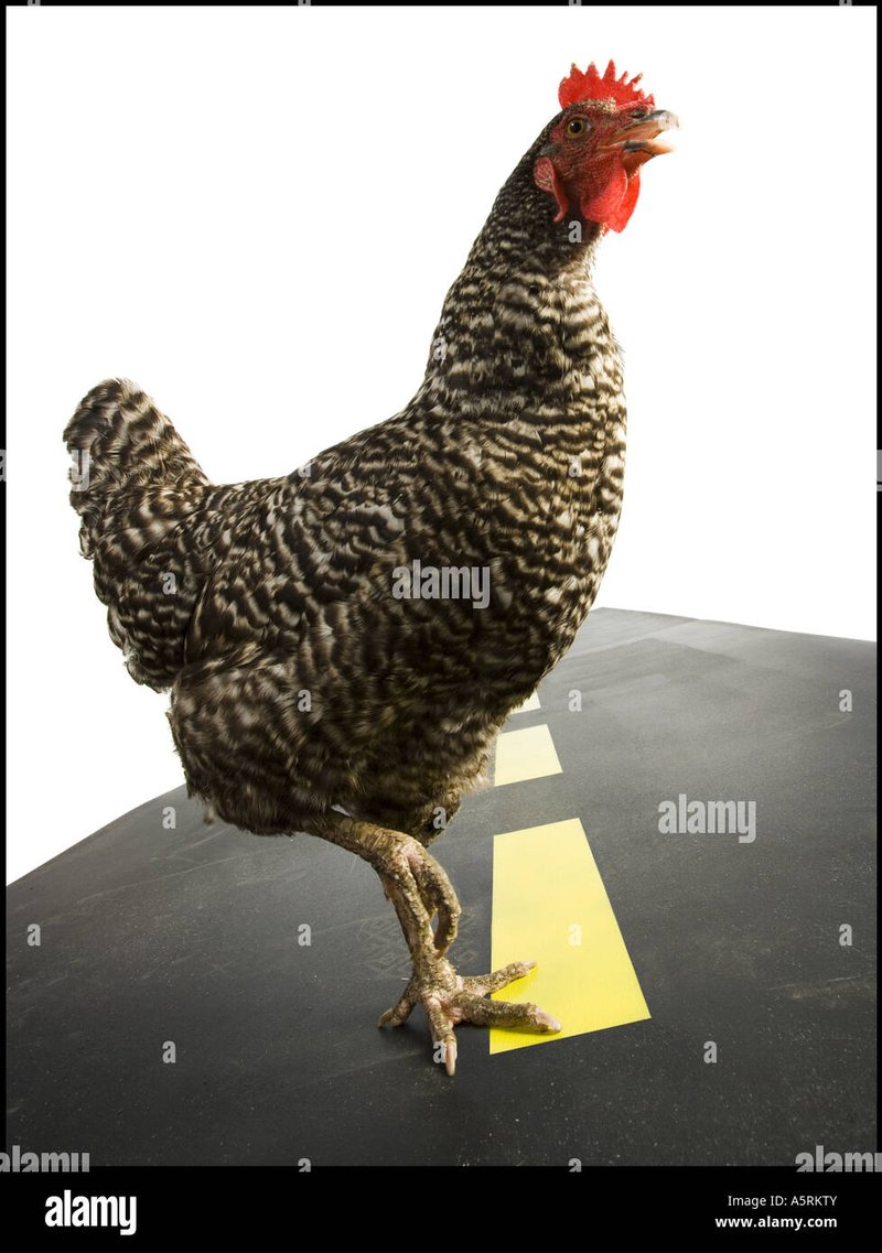 Chicken road slot, chicken road gokspel